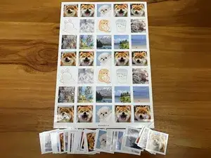 Photos, Postcards, Lomo Cards, and Similar Card Products