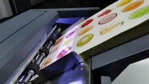 Automatic Paper Feeding System