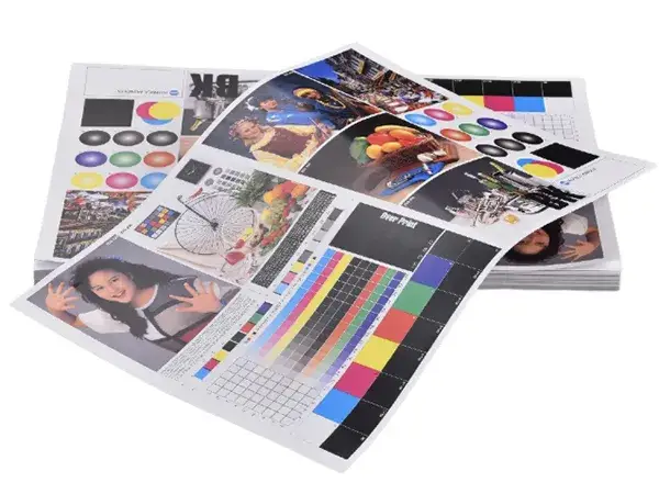Sheet Photo 